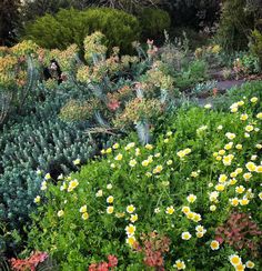 many different types of flowers in a garden