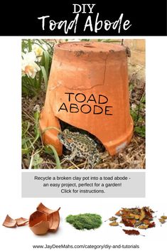 an advertisement with the words toad abode on it