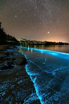 the stars are shining in the sky above the water and sand on the beach at night