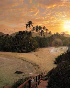 the sun is setting over an ocean with palm trees and stairs leading down to the beach