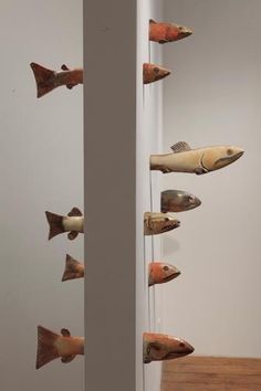 several fish sculptures are on display in a white walled room with wooden floors and walls