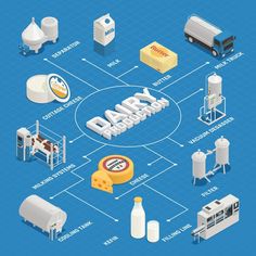 dairy products flow diagram with milk, cheese and other items in the process of processing