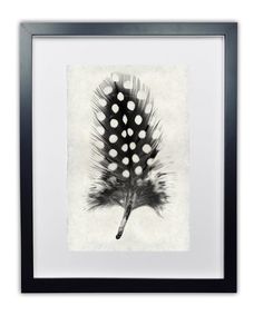 a black and white photo of a feather with polka dotes on it's back