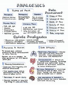 the anatomy of an anaclesic's handwritten diagram on lined notebook paper