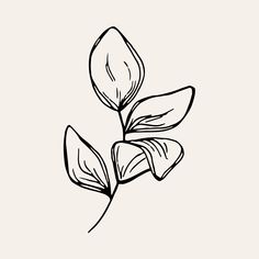 a black and white drawing of a flower