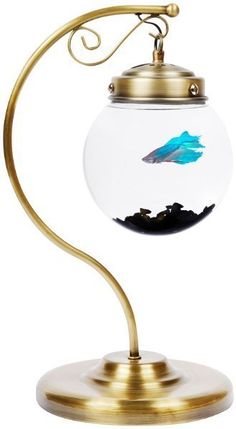 a fish in a glass bowl on a metal stand with a gold colored base and a white background