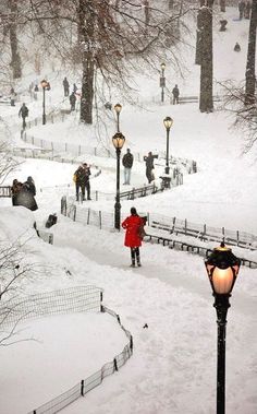 people are walking in the snow near street lamps and lampposts on a snowy day