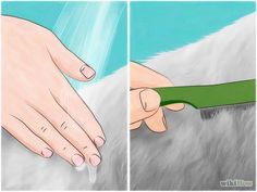 how to groom a dog's fur with pictures