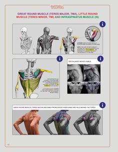 the muscles and their functions are shown in this manual for students to learn how to use them