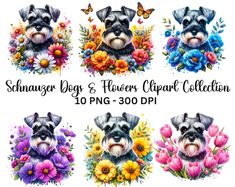 the schnauzer dogs and flowers clipart collection is available for commercial use