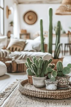 three potted plants sitting on top of a wicker tray in front of a couch