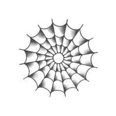 a drawing of a spider web in black and white, with the center section visible