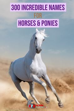 a white horse running in the sand with text that reads, 300 incredible names for horses and ponies