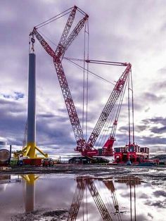 a crane is reflected in the water on a cloudy day with other cranes behind it