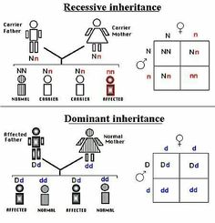 two diagrams showing different types of interlaces