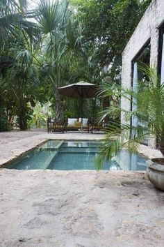 a pool surrounded by trees and plants next to a stone patio with an umbrella over it