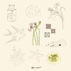 an image of flowers and birds drawn on paper