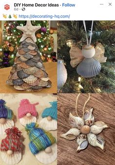 four different types of seashell ornaments hanging from a christmas tree