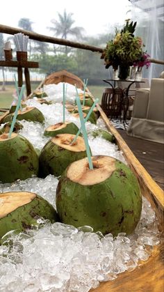 coconuts are lined up on ice in a boat