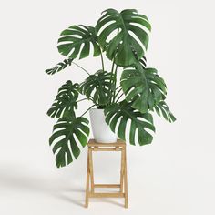 a potted plant sitting on top of a wooden stand