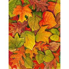 Fallen Leaves II Poster Print - Tim OToole-VARPDX150943D Image 1 Maple Leaf Painting, Leaf Painting Acrylic, Leaf Painting, Fallen Leaves, Water Painting, Leaf Art, Epic Art, Fine Arts Posters, Fall Leaves