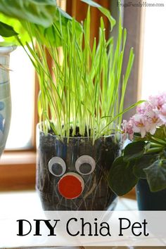 a potted plant sitting on top of a table next to a vase filled with flowers