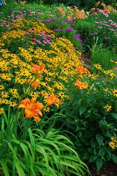 many different colored flowers in a garden