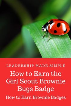 a ladybug sitting on top of a green leaf with the words, how to earn