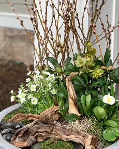 a potted planter filled with plants and rocks