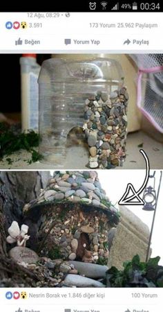 two pictures one with rocks and the other with plants in a glass jar that is filled with water