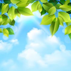 green leaves and blue sky with clouds in the background - miscellaneous objects / objects illustrations