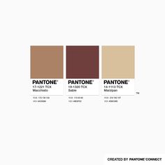 the pantone palette is shown with different colors