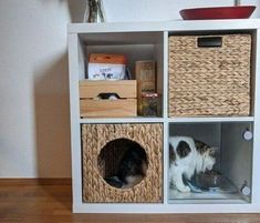 a cat is sitting in a white shelf with wicker baskets and other items on it