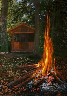 a small cabin in the woods is lit up with fire and leaves on the ground