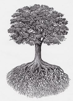 a black and white drawing of a tree with its roots spread out to the side