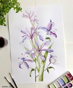 a painting of purple and white flowers next to some watercolor paints on a table