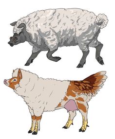 two sheep are standing side by side on a white background, one is brown and the other is white