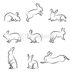 the silhouettes of rabbits on a white background stock photo, images and royalty illustrations