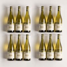 six bottles of wine are lined up in a row on a white surface with the light shining through them