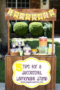 a lemonade stand with the title tips for a successful lemonade stand on it