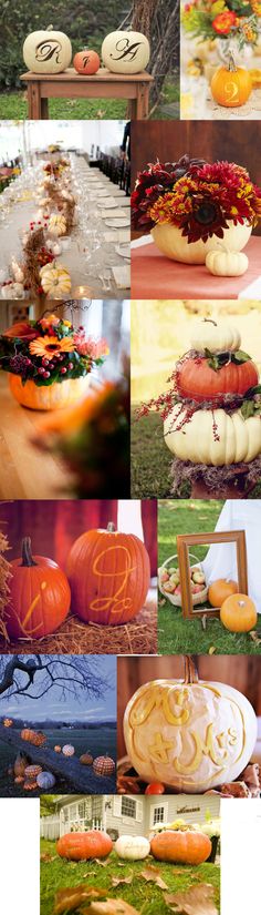 pumpkins and gourds are arranged on the ground in this collage with different colors