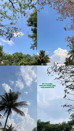 four different shots of trees and clouds in the sky