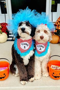 Thing One and Thing Two Dog Costumes Two Dog Costumes, Halloween Costumes With Your Dog, Costumes With Your Dog, Costumes With Dogs, Halloween Costumes For 2, Dog And Owner Costumes, Thing One And Thing Two, Thing One, 2 Dogs