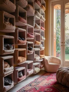 a cat sitting on top of a bed in front of a wall filled with shelves