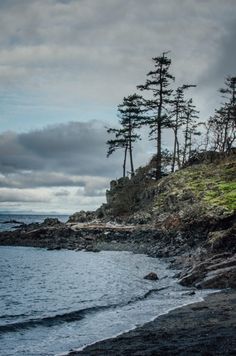 an ocean shore with some trees on it