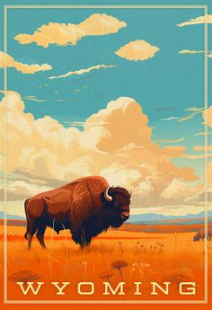 a bison standing in the middle of a field under a cloudy sky with words wyoming on it