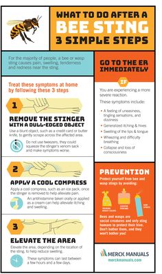 3 Steps to Take Immediately After a Bee Sting - Merck Manuals Consumer Version Bee Sting Remedy, Remedies For Bee Stings, First Aid For Kids, School Nurse Office, Wasp Stings, Emergency Prepardness, Emergency Preparedness Kit