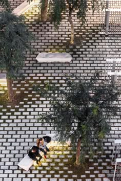 two people sitting on benches under trees in a park with white bricks and green grass