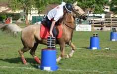 a person riding on the back of a brown horse over an obstacle in a field