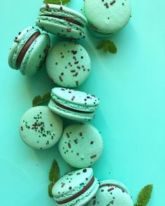 macaroons with green leaves and sprinkles are arranged on a blue surface